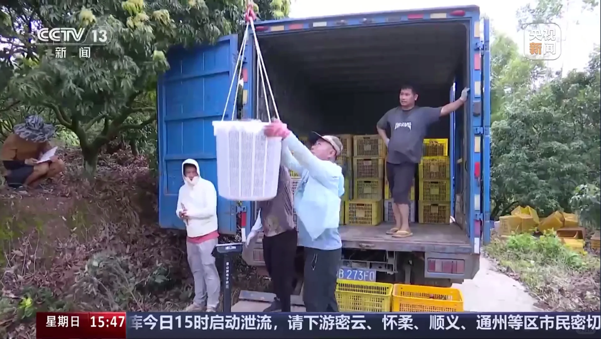 【地理热点】荔枝坐无人机下山？怒省80%