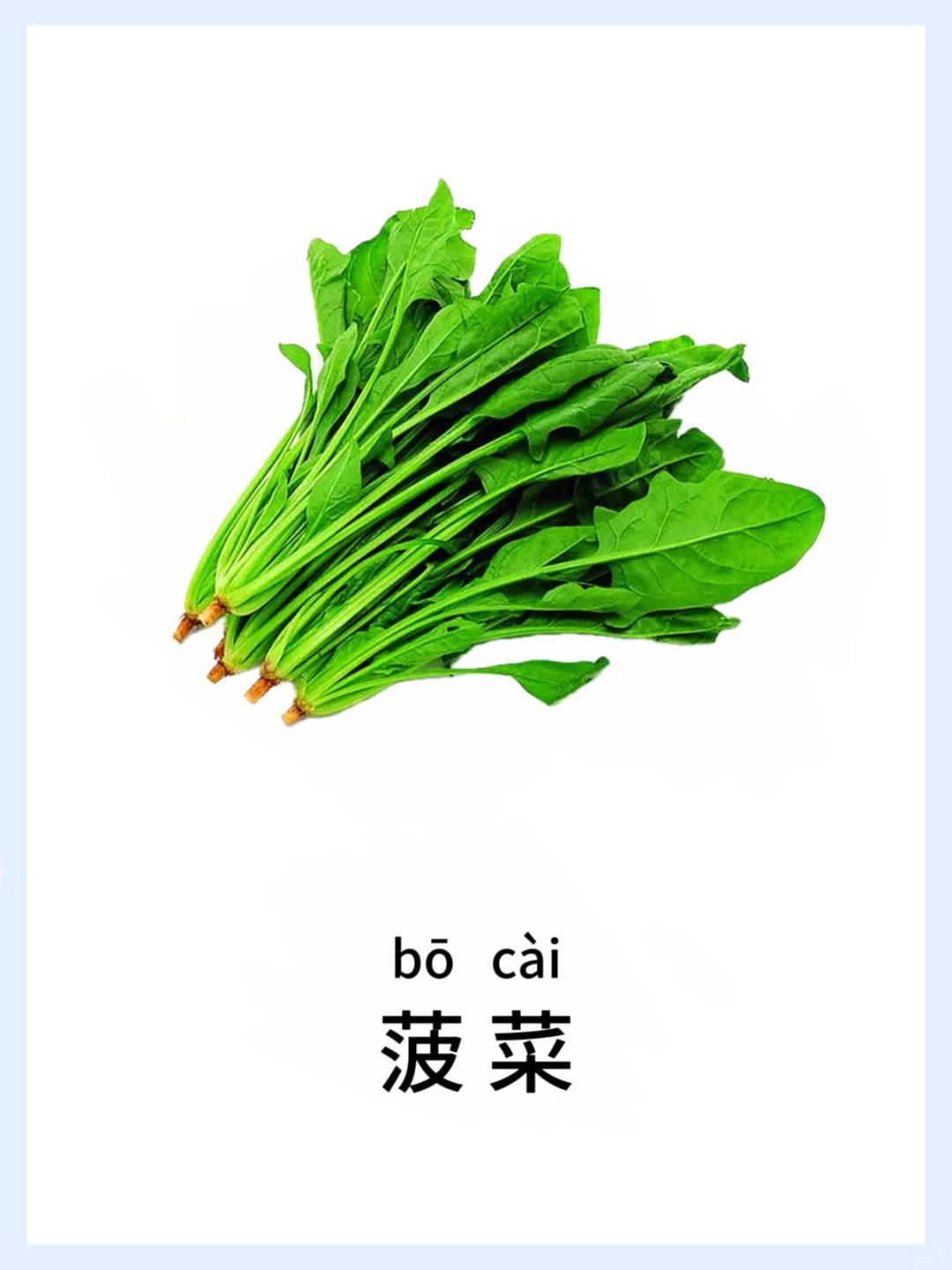 ?宝宝早教启蒙-蔬菜篇，认知小课堂开课啦！