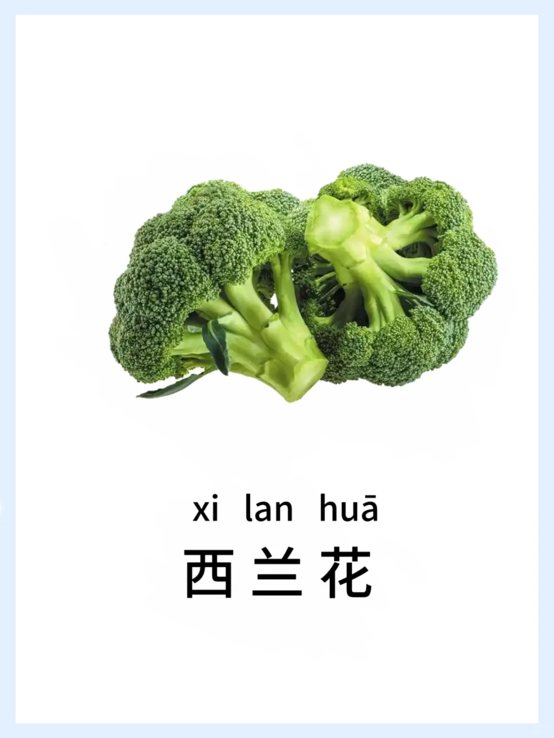 ?宝宝早教启蒙-蔬菜篇，认知小课堂开课啦！