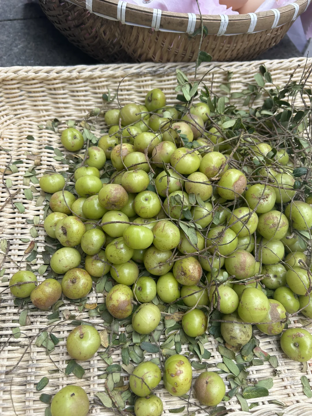 看到好看的蔬菜真的想尖叫！