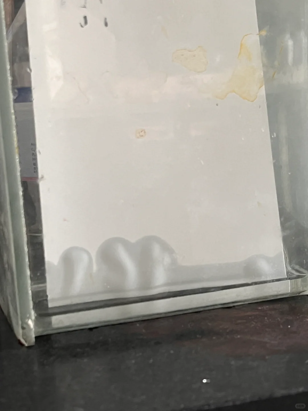 连实验失败都是爱你的形状