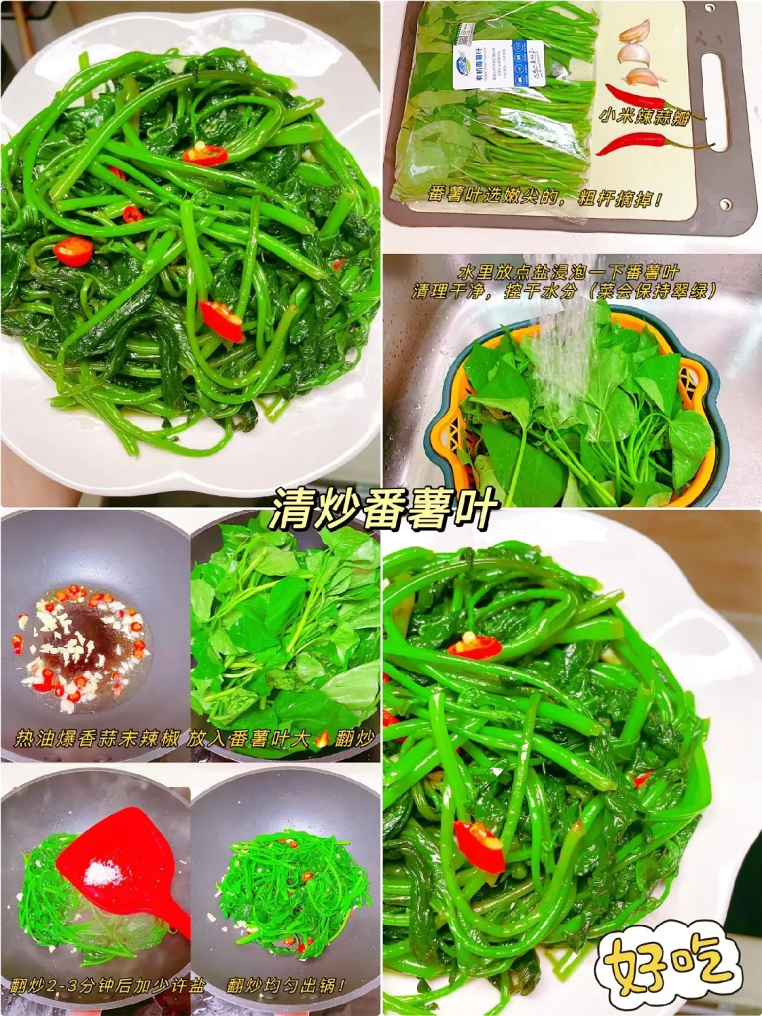 早知道早吃到！12种清淡解腻的绿叶菜！