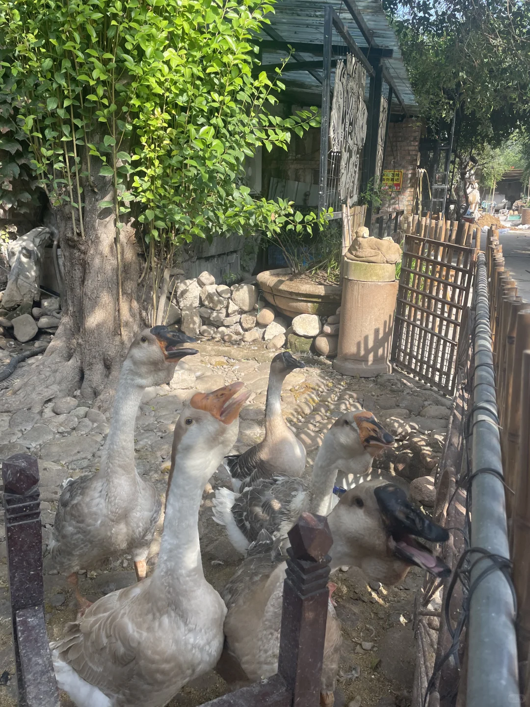 邯郸有孩子一定要来这里 放松+研学+遛娃