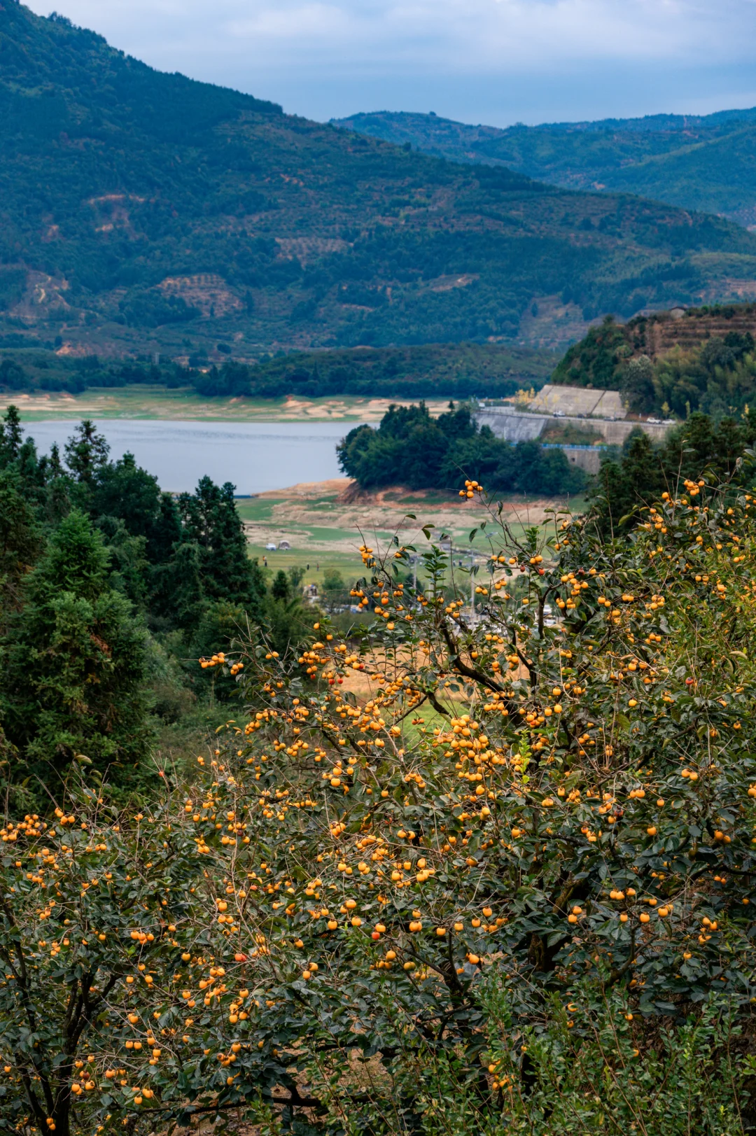 何峰山-王公山-利洋村的踏秋徒步