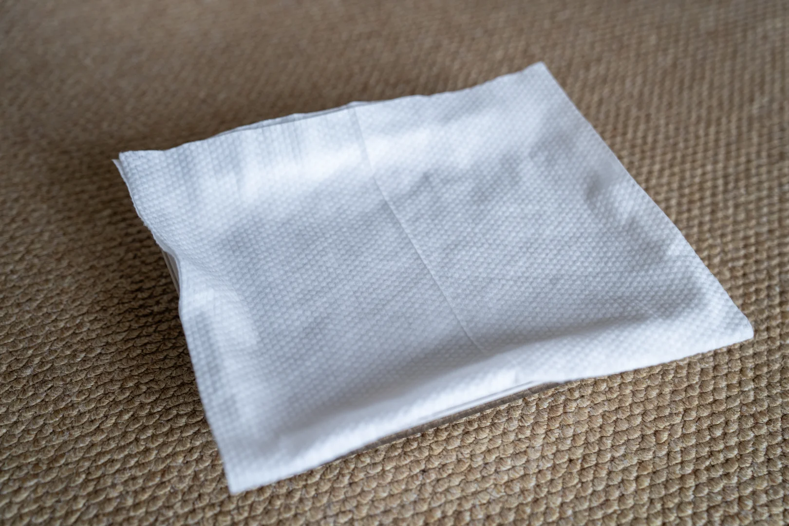 特别有趣的种植豆芽的小计划～