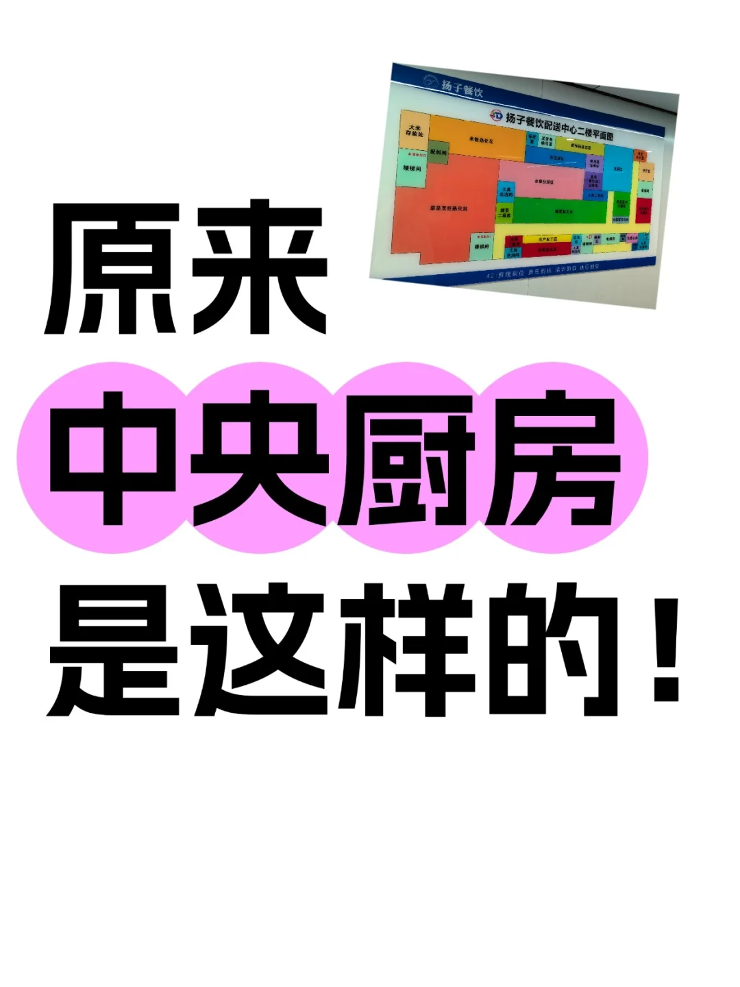 ?揭秘日供1万+团餐背后的神秘央厨！