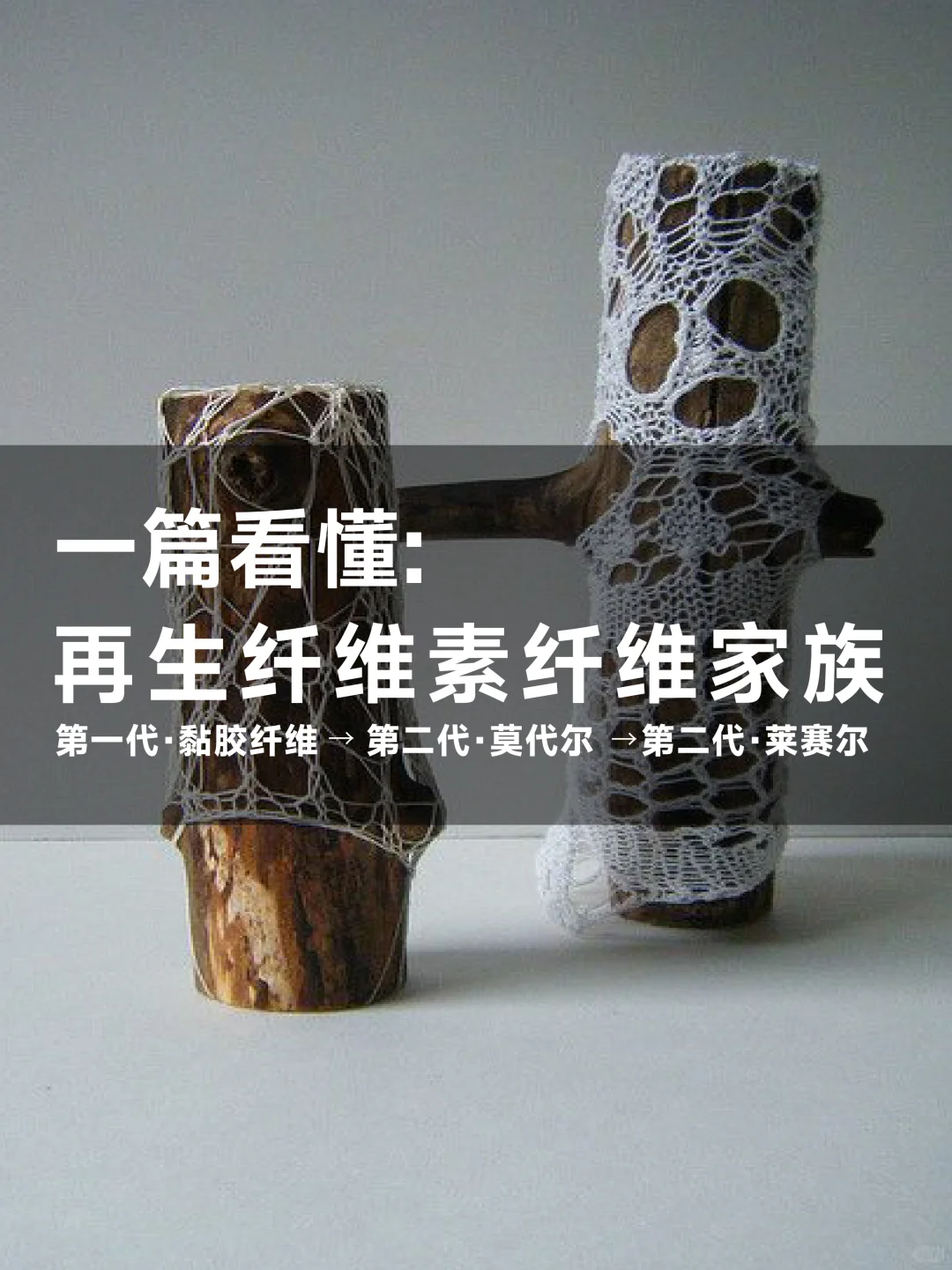 关于再生纤维素纤维家族