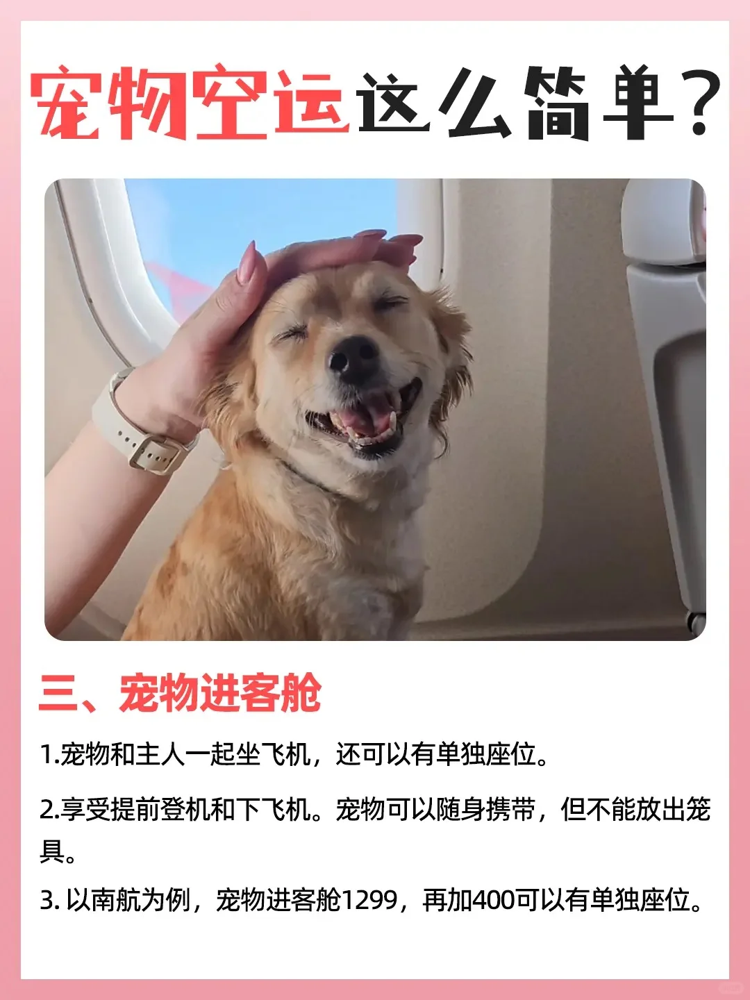 求求了?巨靠谱宠物空运攻略‼️