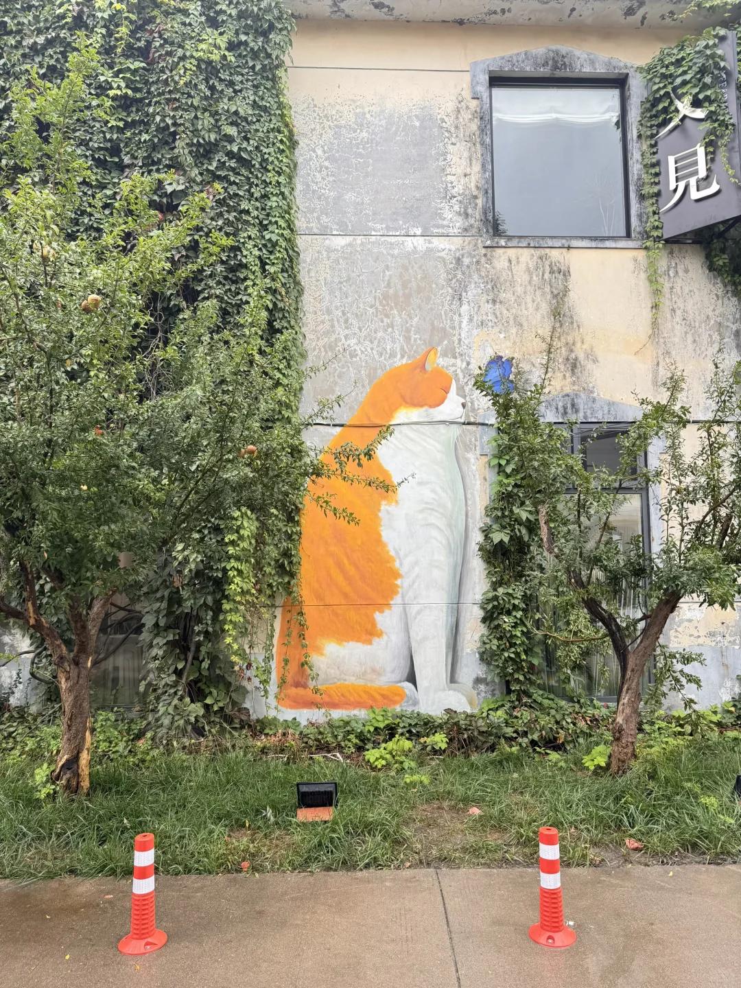 关于我花一元在淄博捡玻璃这件事