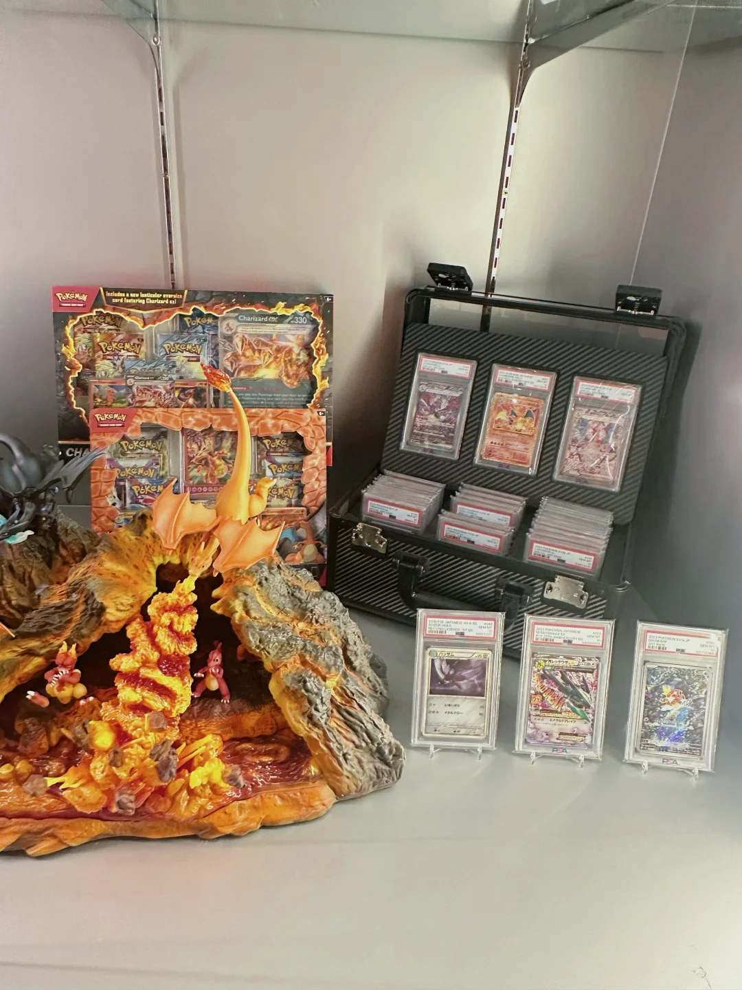 入坑宝可梦卡牌9个月的柜子长这样?