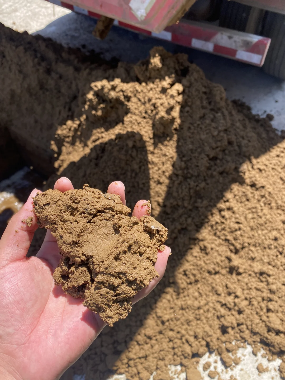 #活性菌种投放#污水处理