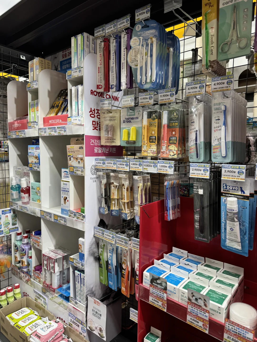 养狗人济州岛打猎攻略?勇闯?家店宠物店！