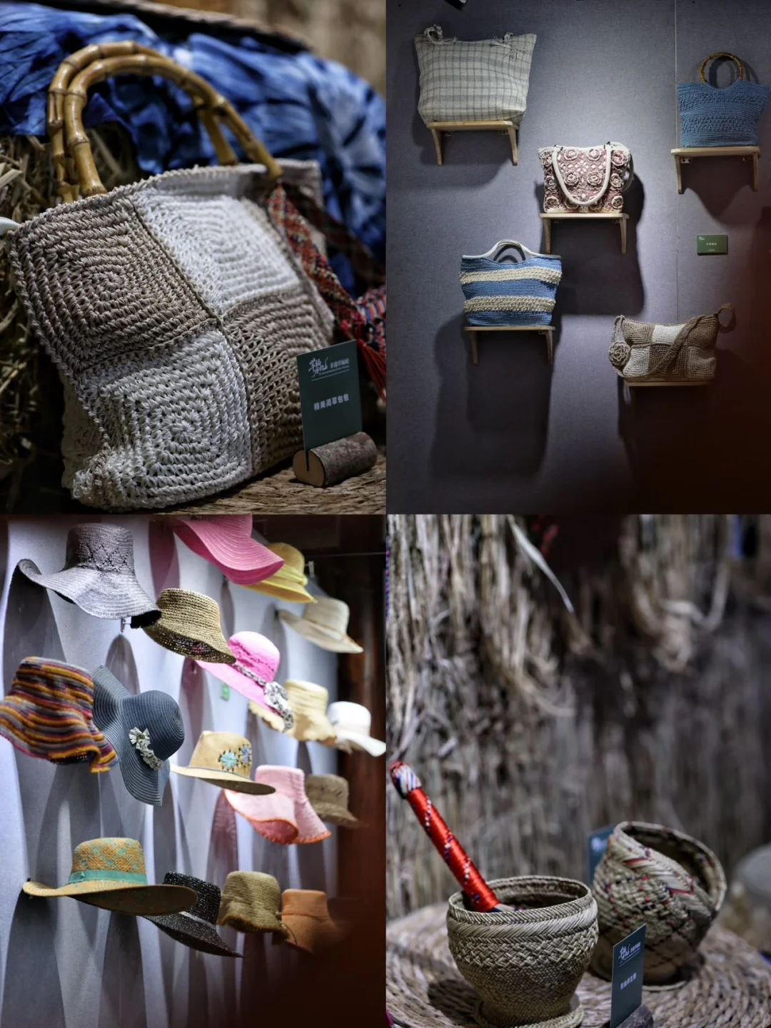 宁波新展｜芊编万化，一棵草的浪漫