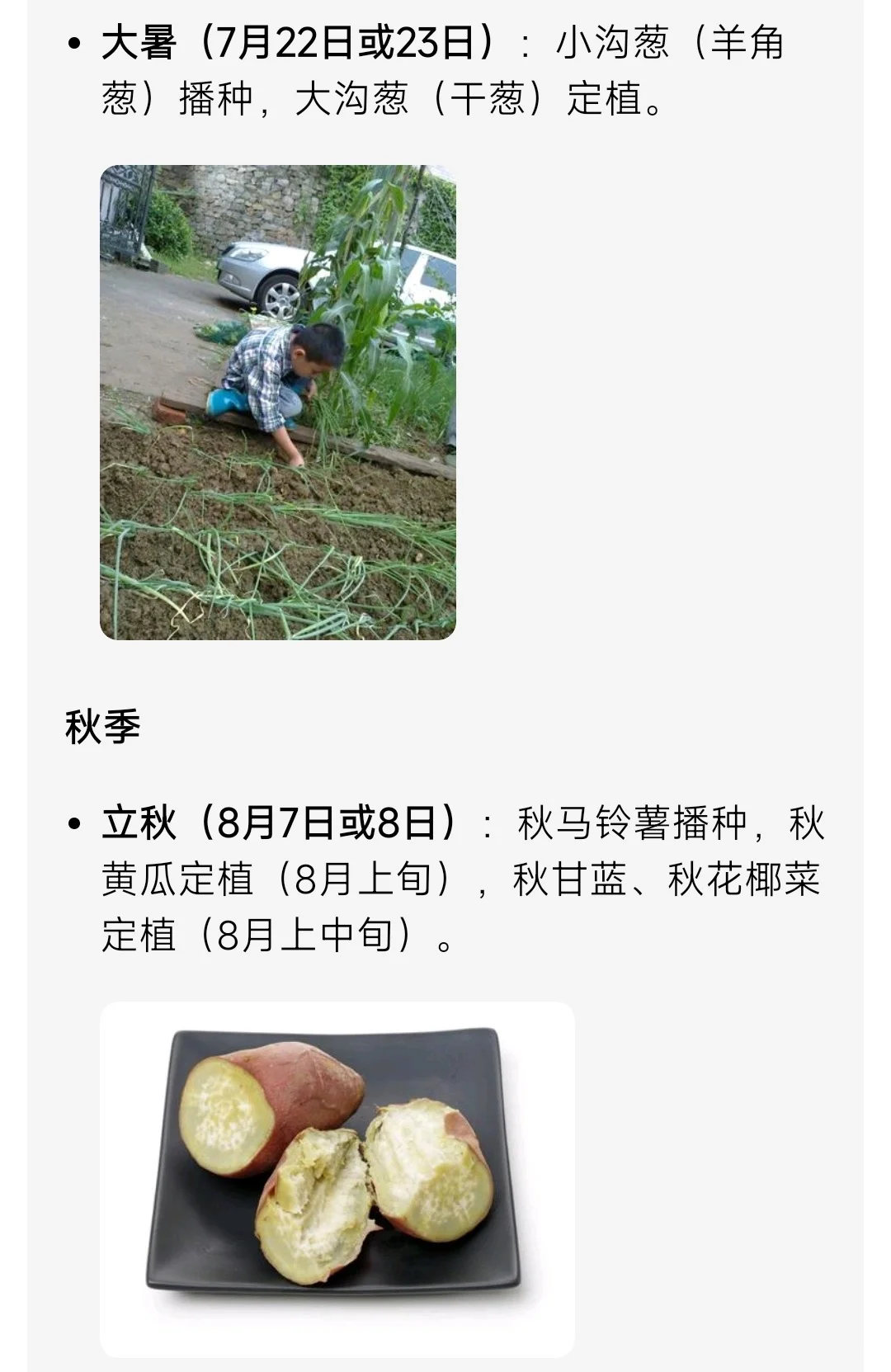 山东烟台二十四节气种菜时间