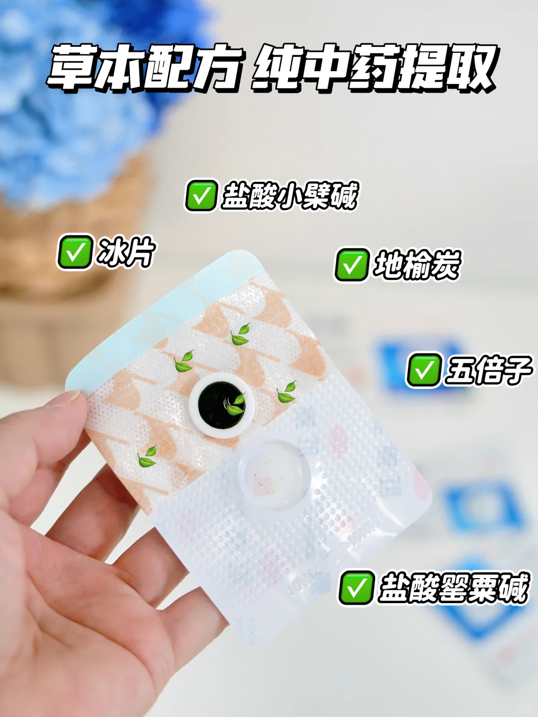 周边遛娃，“菊”部地区不同意咋办？