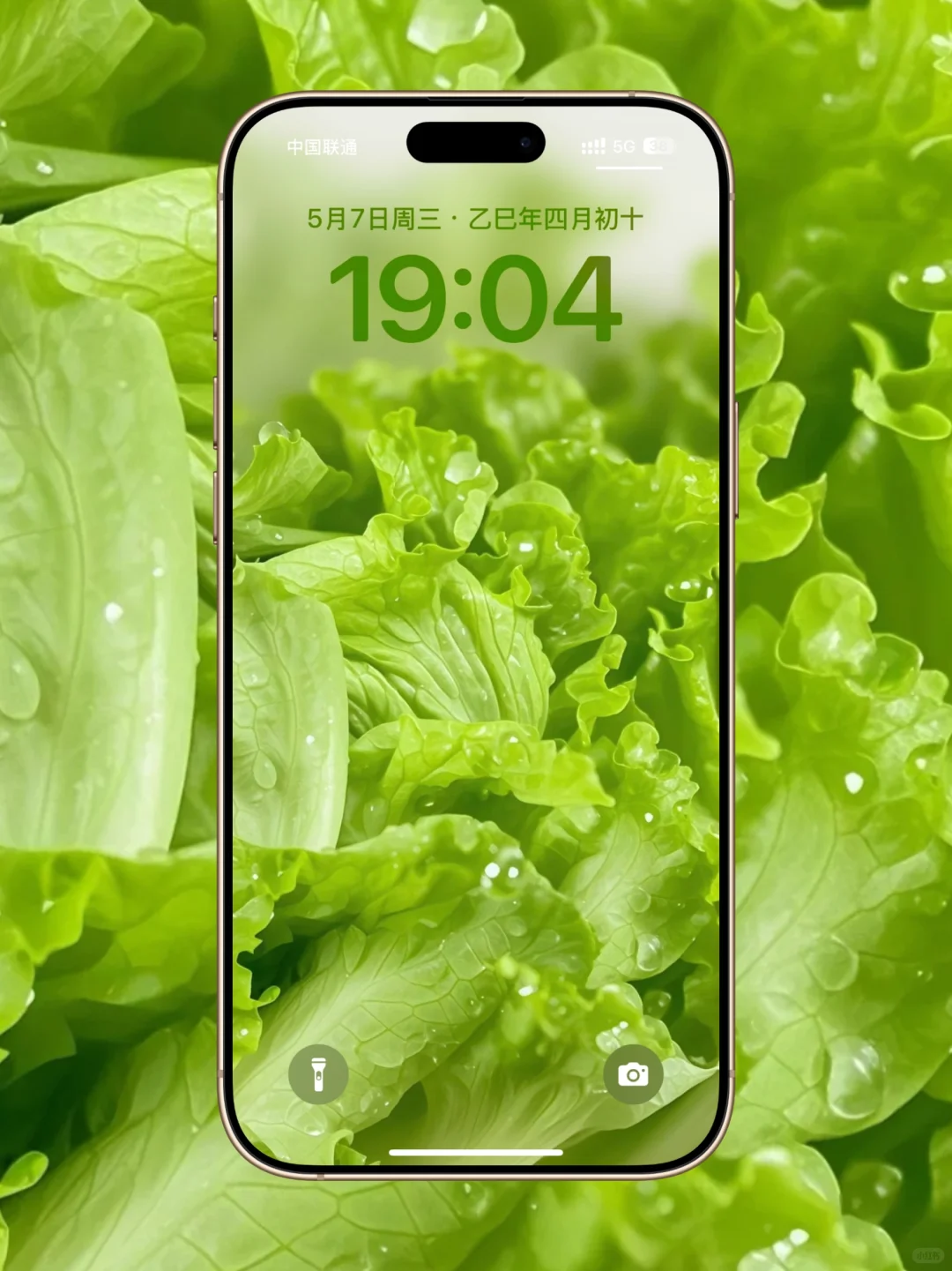 夏日清新?蔬菜高清壁纸分享｜iPhone专属