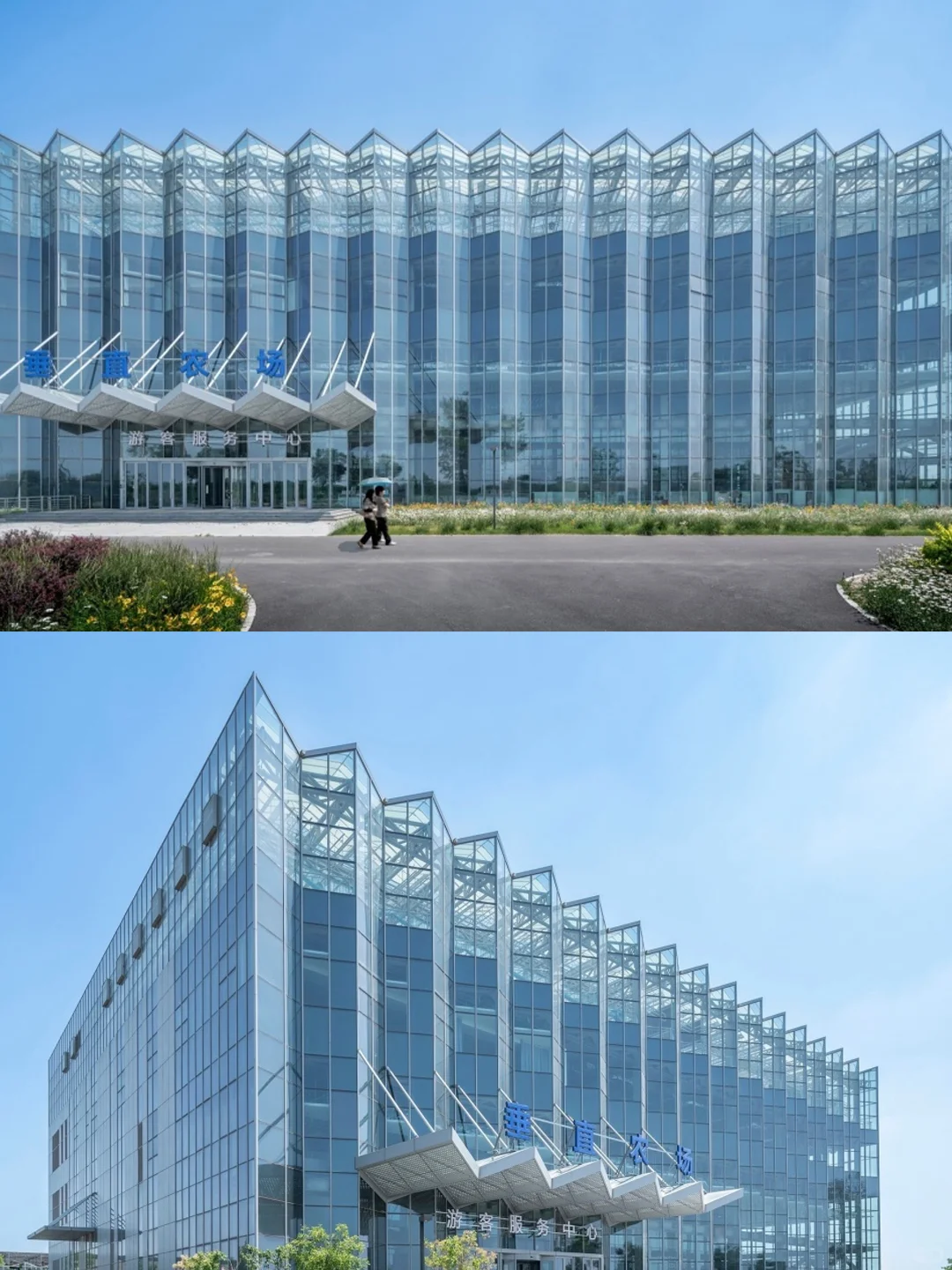 折叠玻璃立面?都市农业的未来长这样