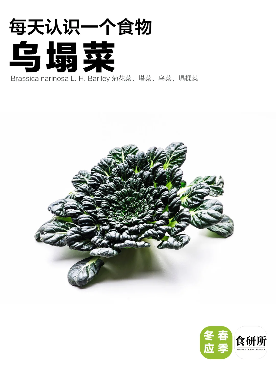 ?霜打菜是蔬菜界的雪糕？甜到报警隐藏吃法