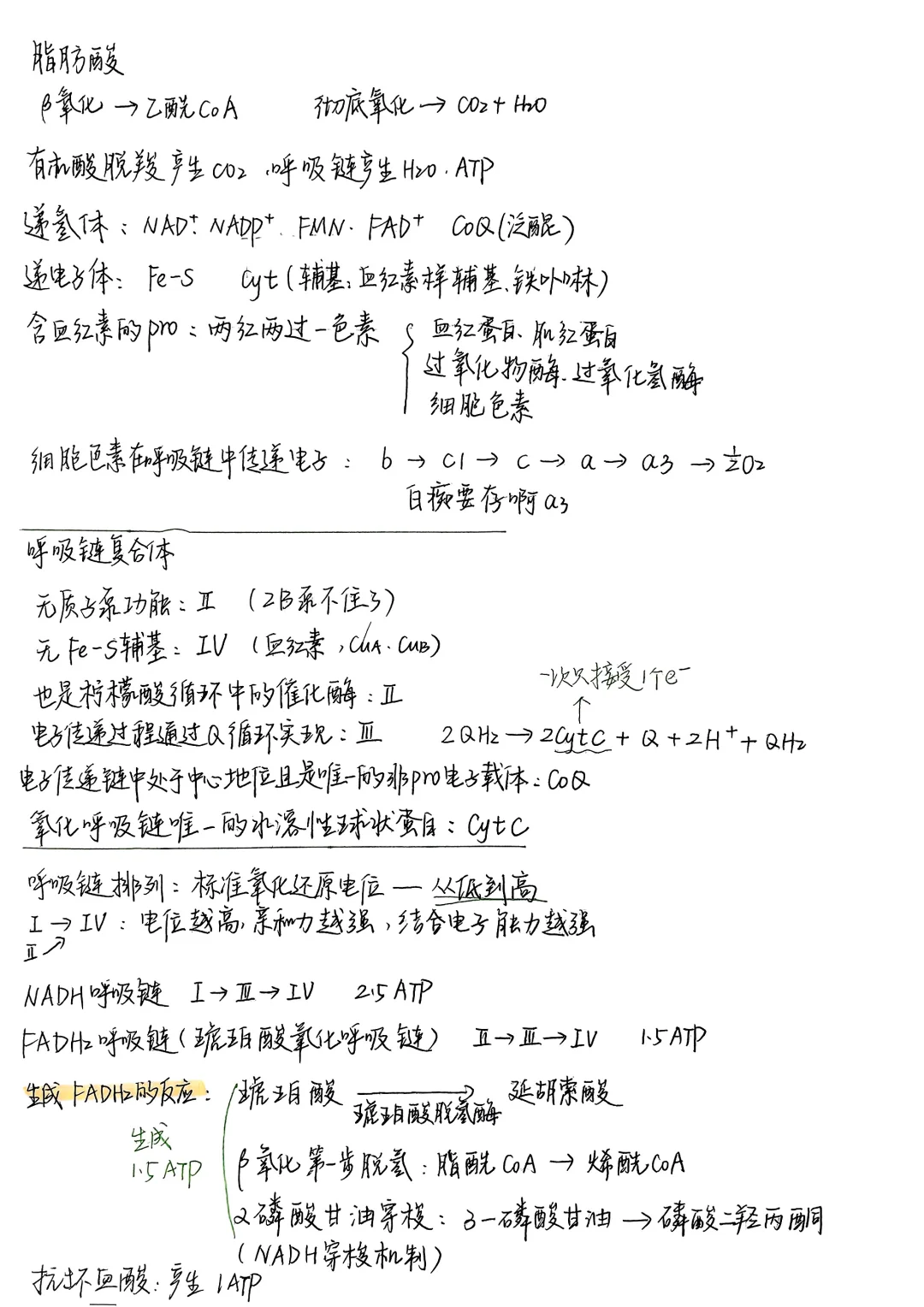 生物化学|笔记合集