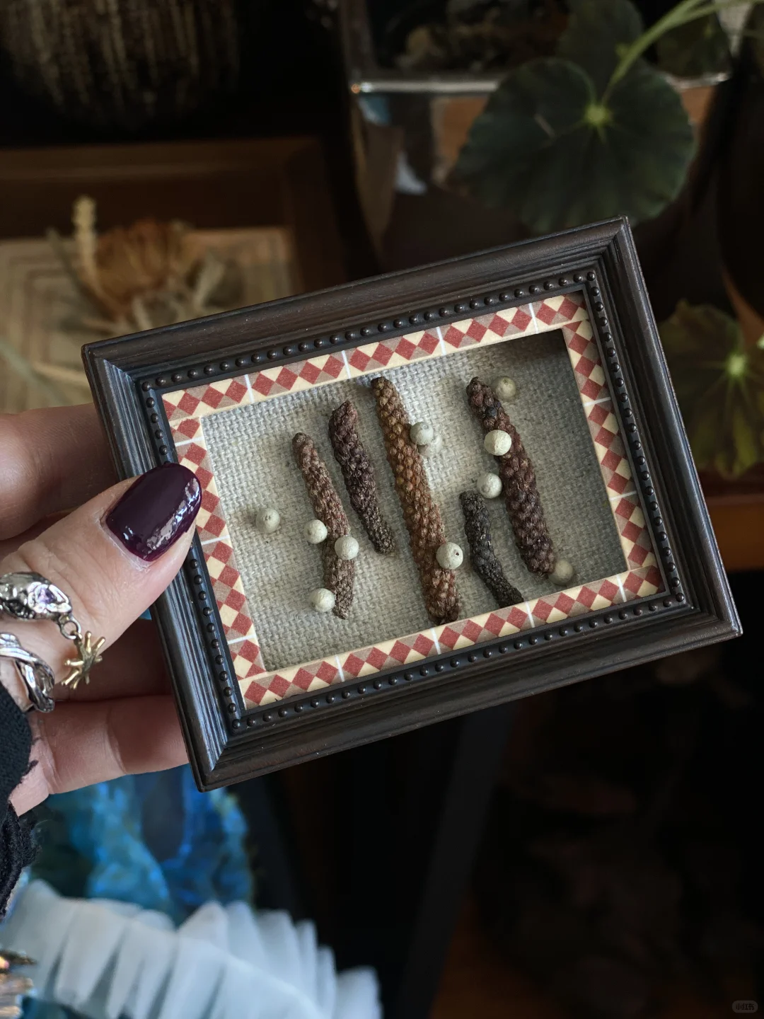 Aha！灵光一闪！给调味料来个?华丽的变身！?