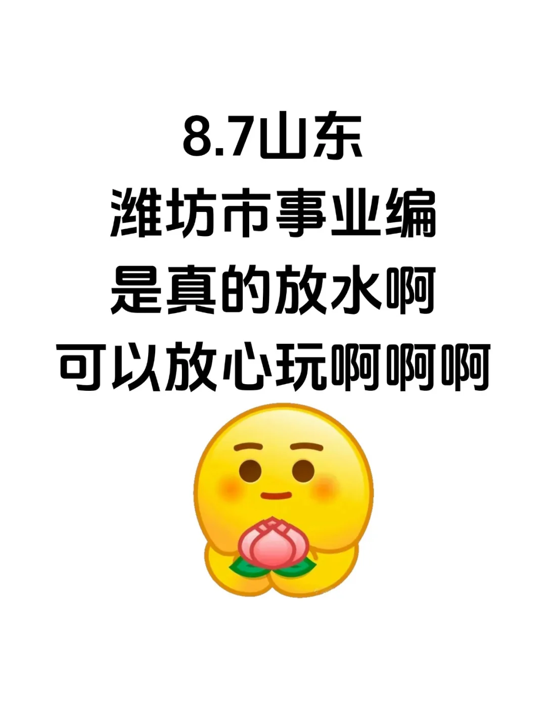 假如你从8.8开始备山东潍坊事业编?