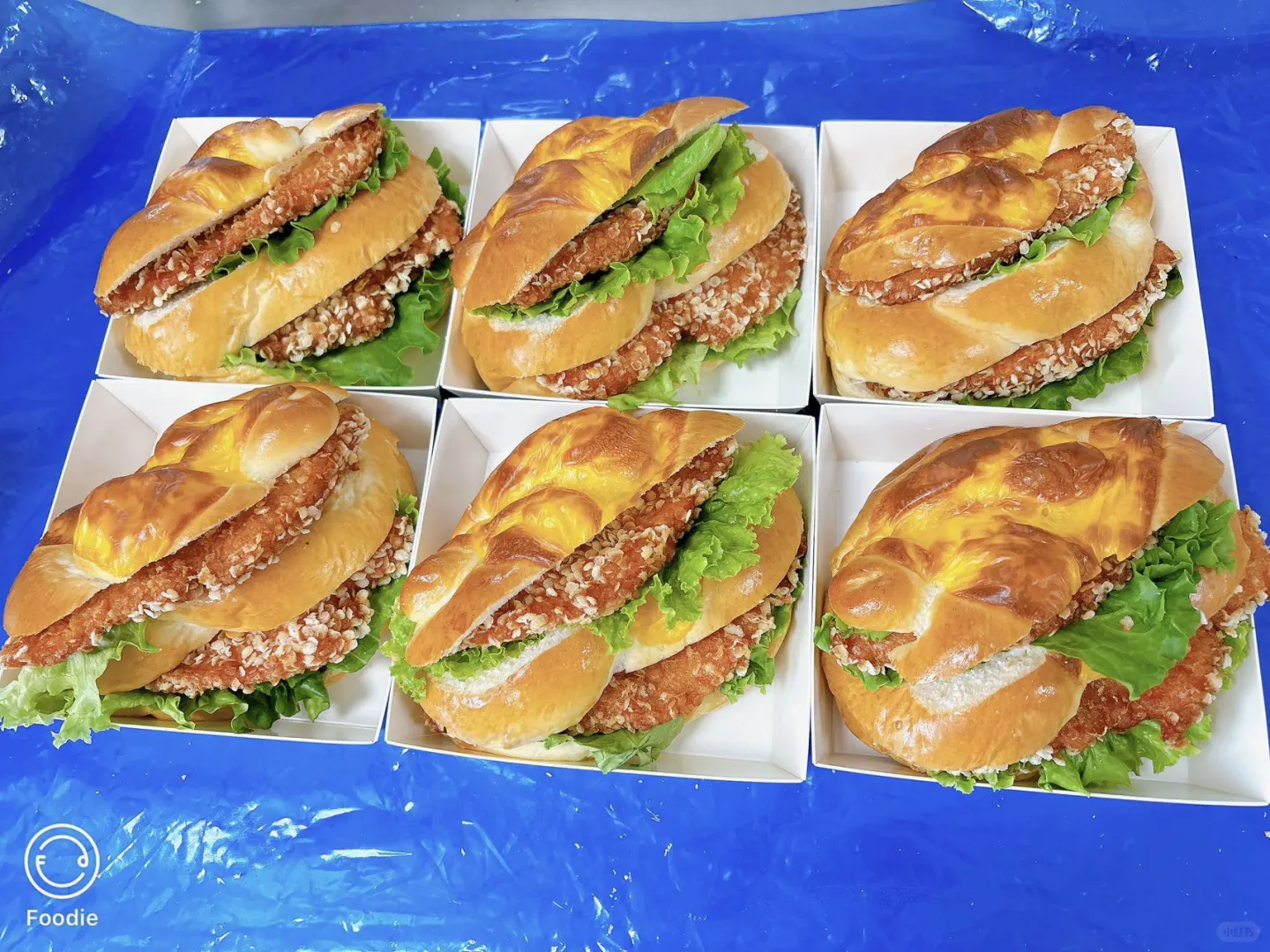 大成肉品产品展示