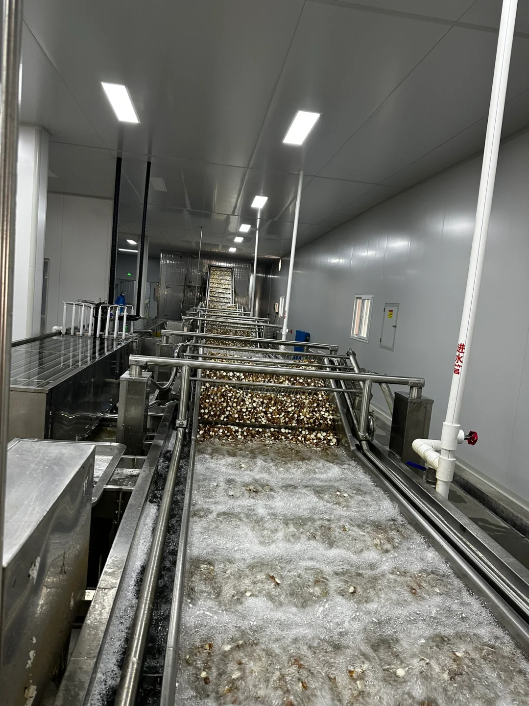 速冻蔬菜加工厂