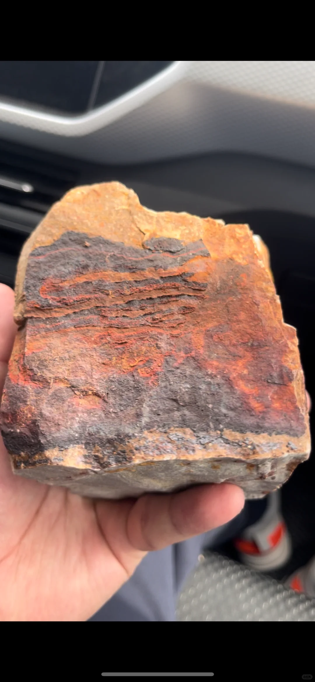 山上捡的石头 有人认识吗？