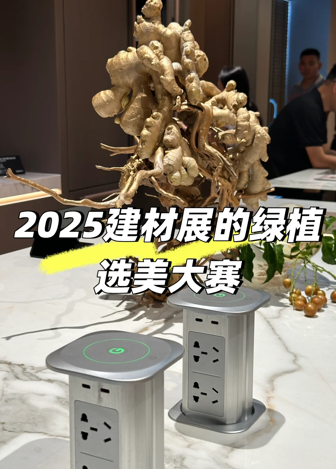 2025建材展的绿植选美大赛?，冠军是...