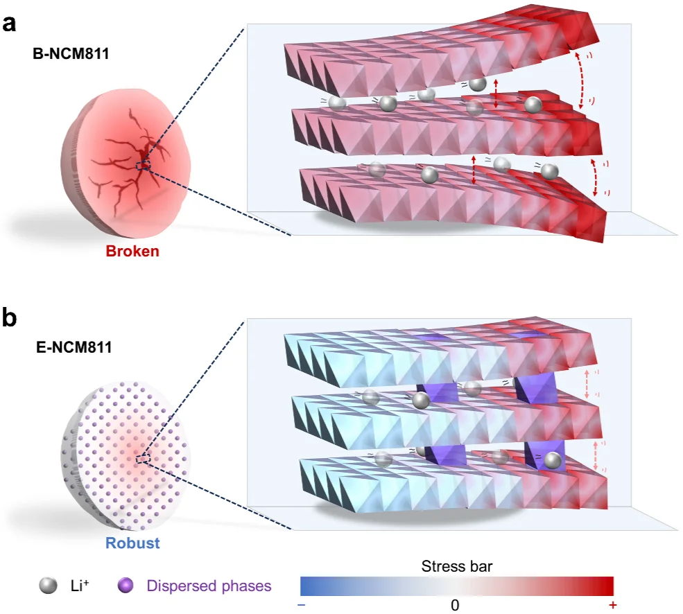 高镍正极4.6V超高压循环200次容量保持92%！
