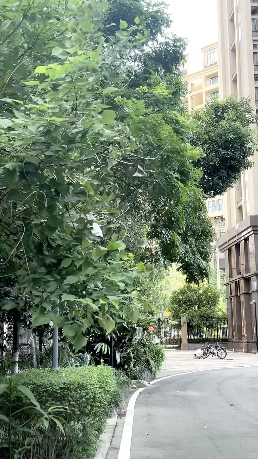 一造案例安装第三章坑点自我总结…