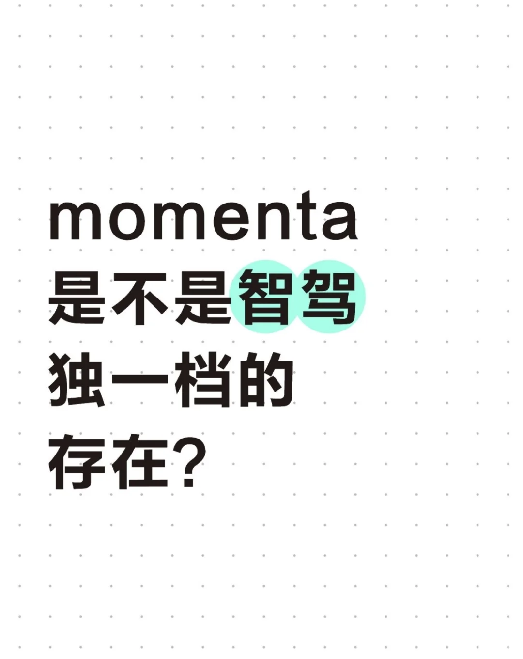 momenta是不是智驾独一档的存在？