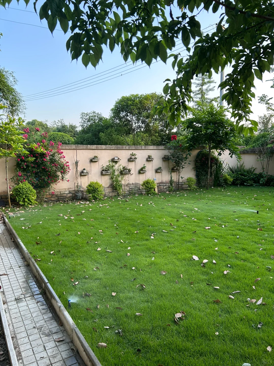 草坪的灌溉系统踩坑