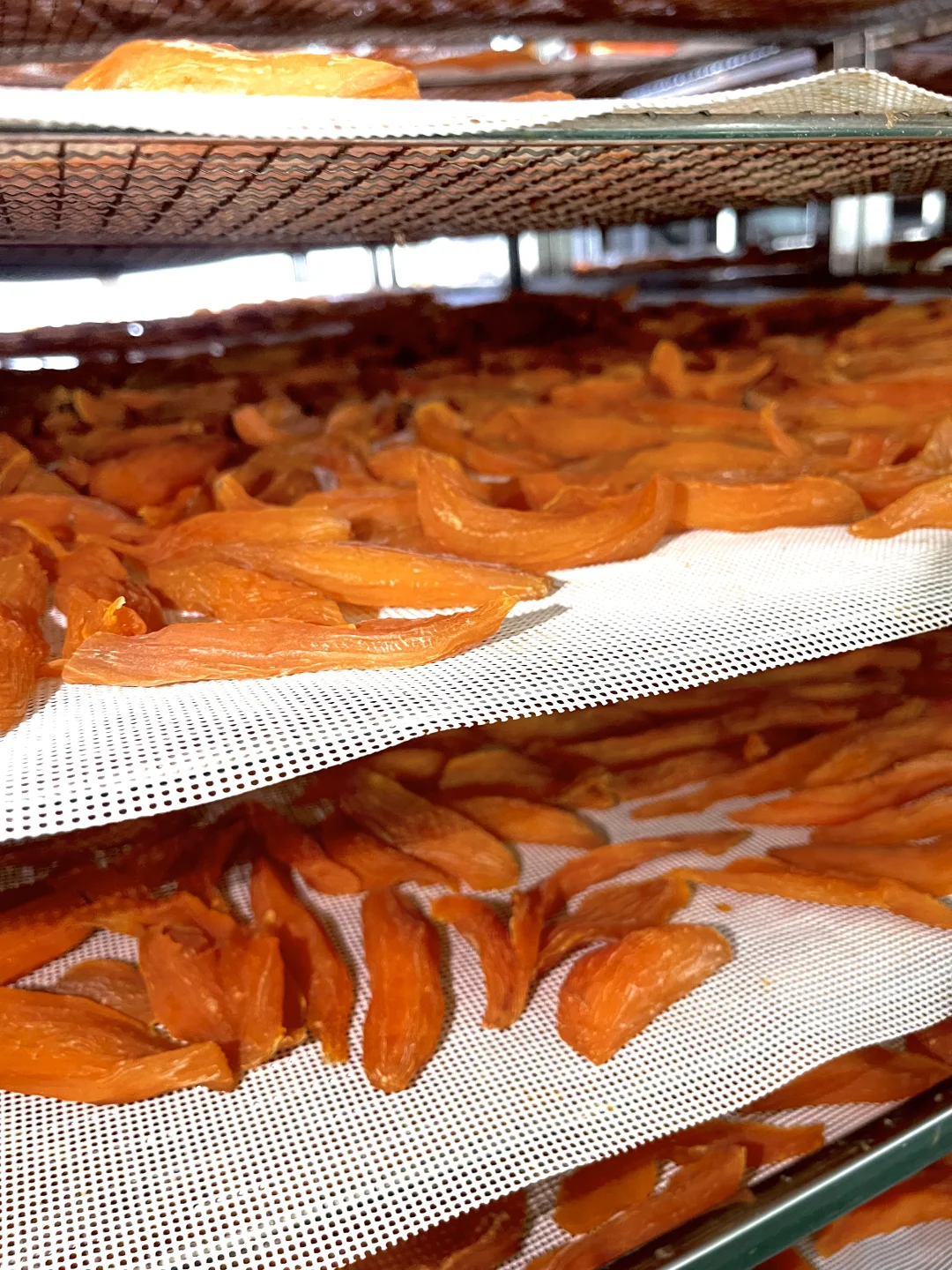 老公为我开了一个红薯干加工厂！