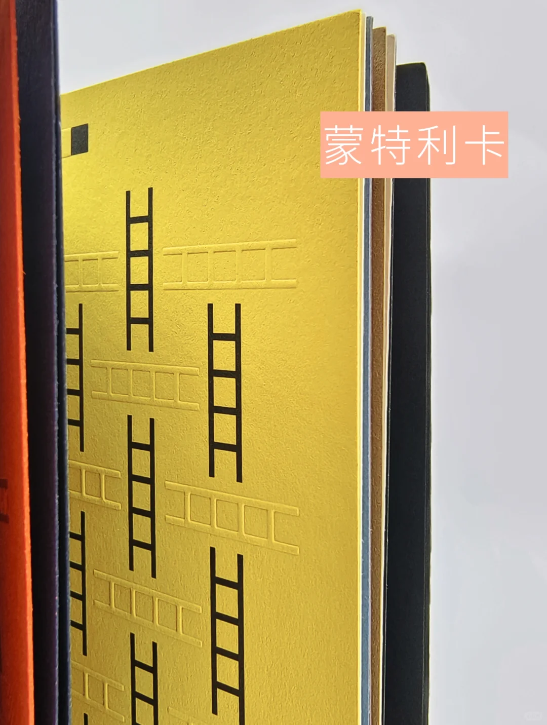 它们要从纸上出来了!