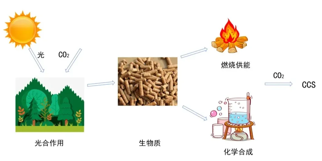 我国生物质能产业一地鸡毛?专家指四大原因