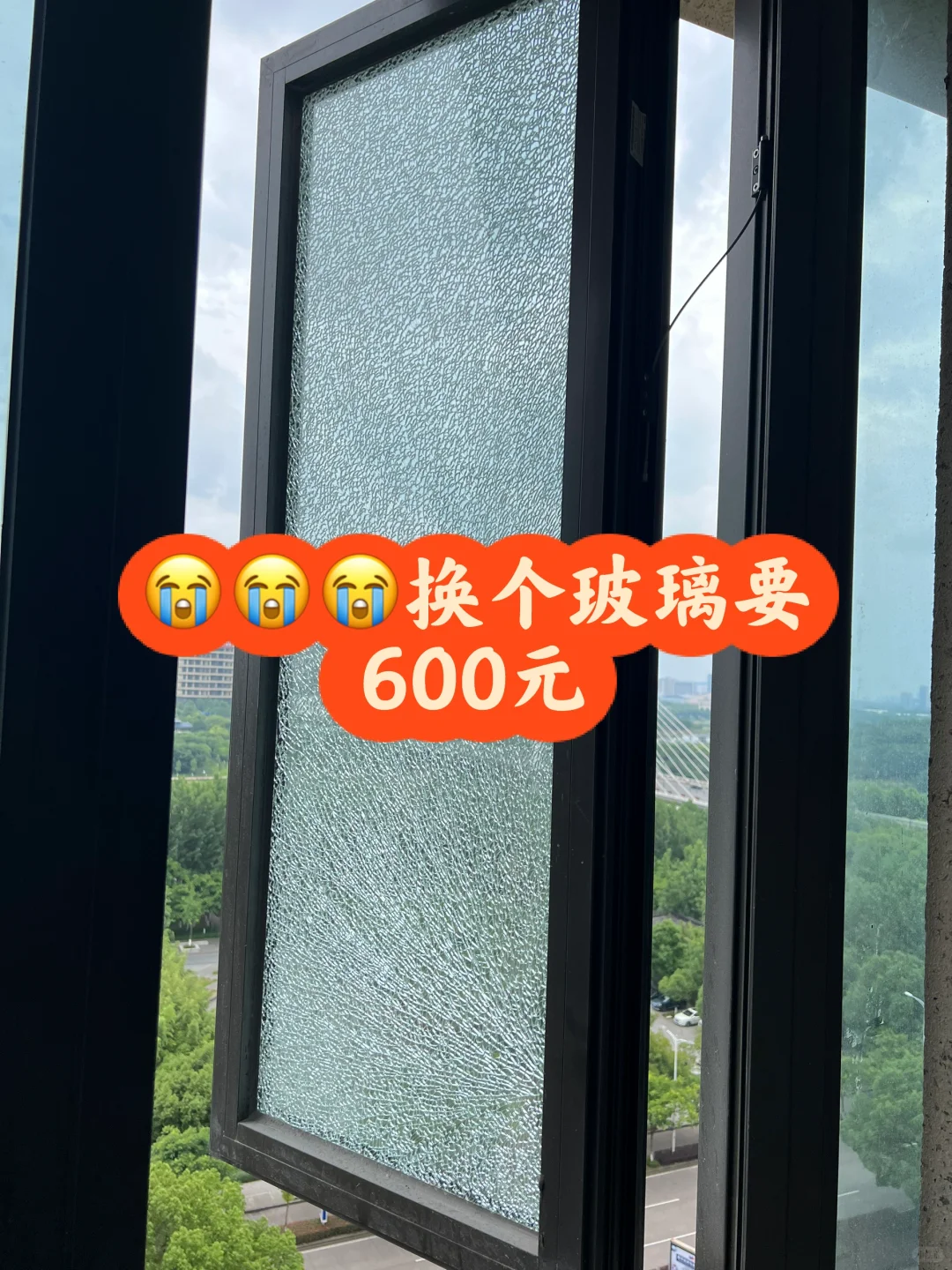 600元一块玻璃??