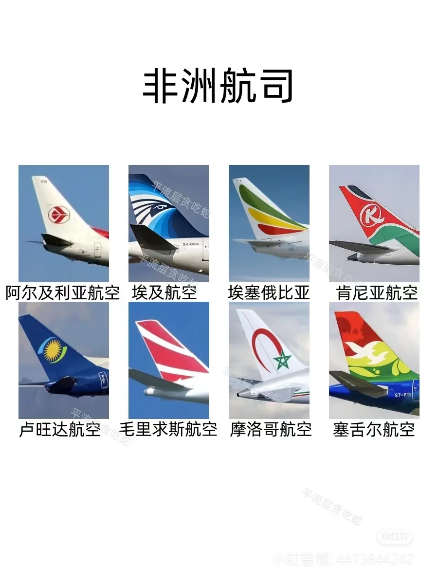 你认识这些吗？