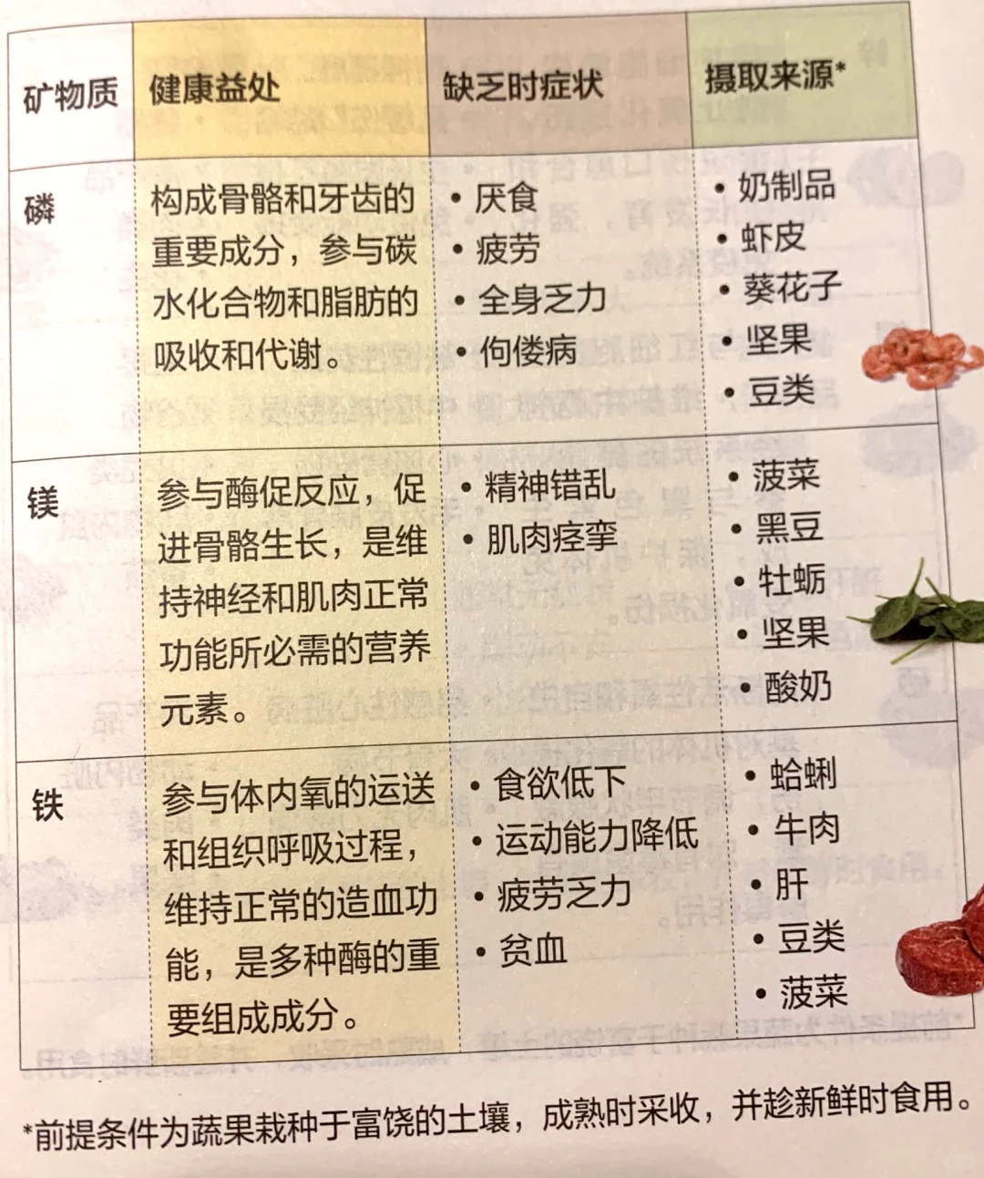 矿物质是什么？有什么作用？