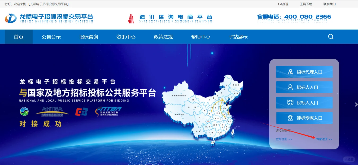 龙标电子招投标平台专家，代理公司平台