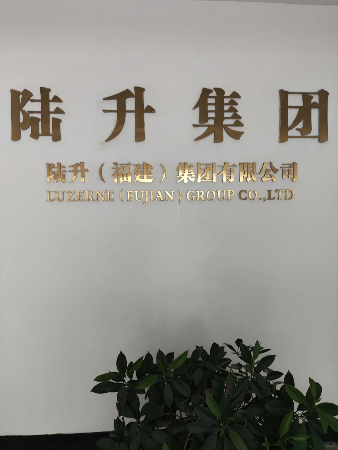 实践体验33-1:Day5-2-参观现代化陶瓷车间