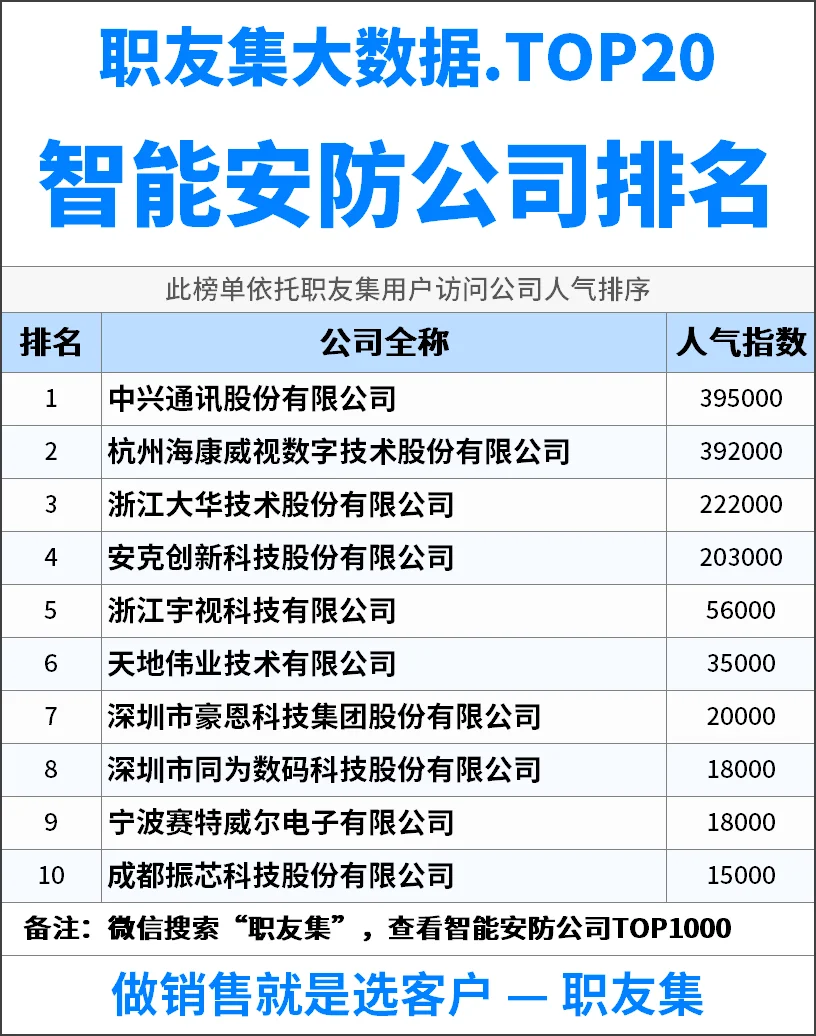 2025年中国‌‌‌智能安防公司排行榜