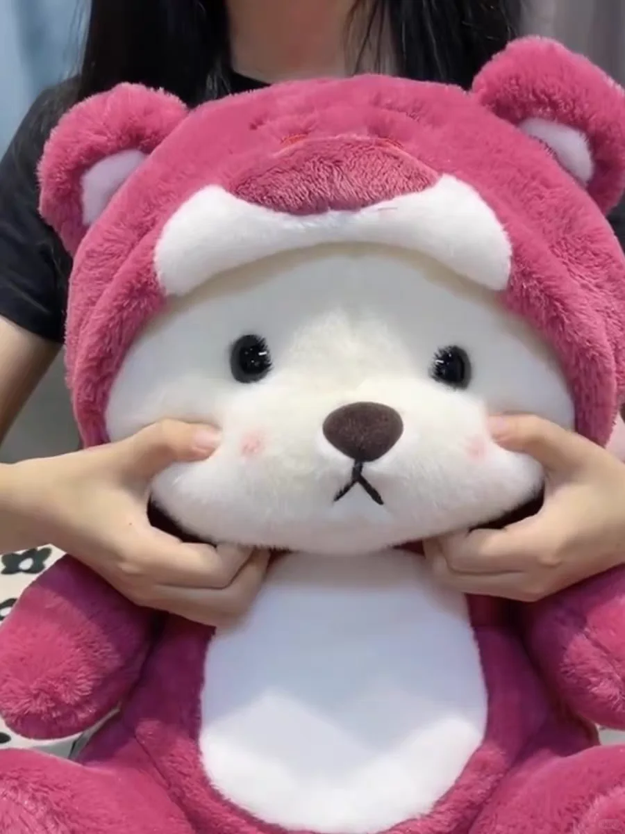 我的命中情熊❤️