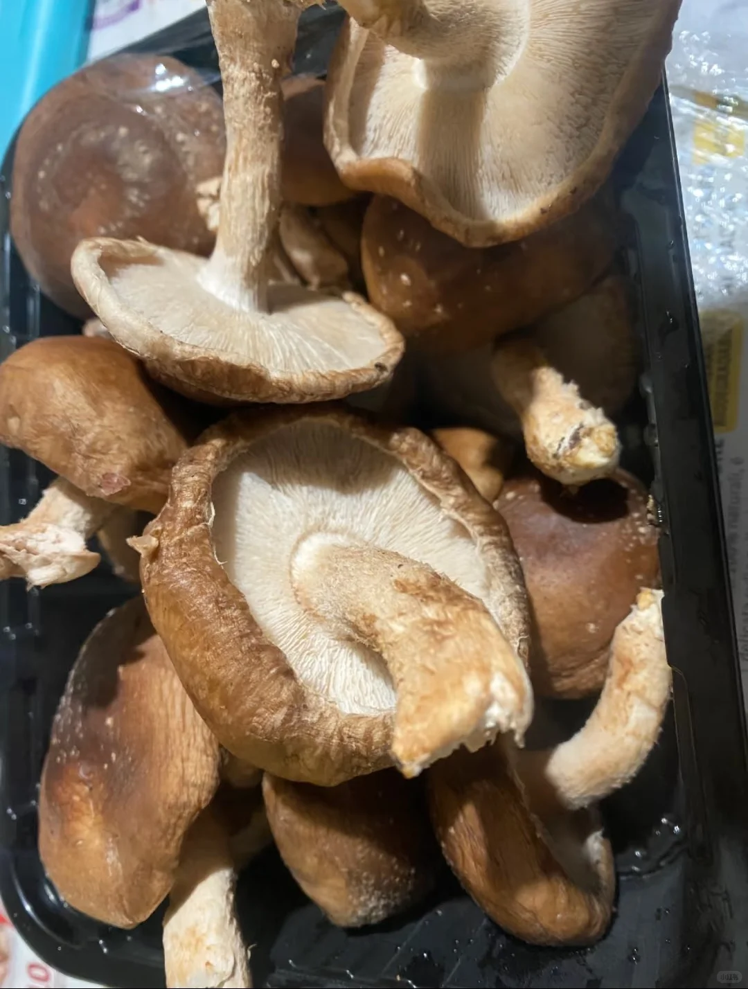 这俩真的好难吃为什么身边的人都喜欢