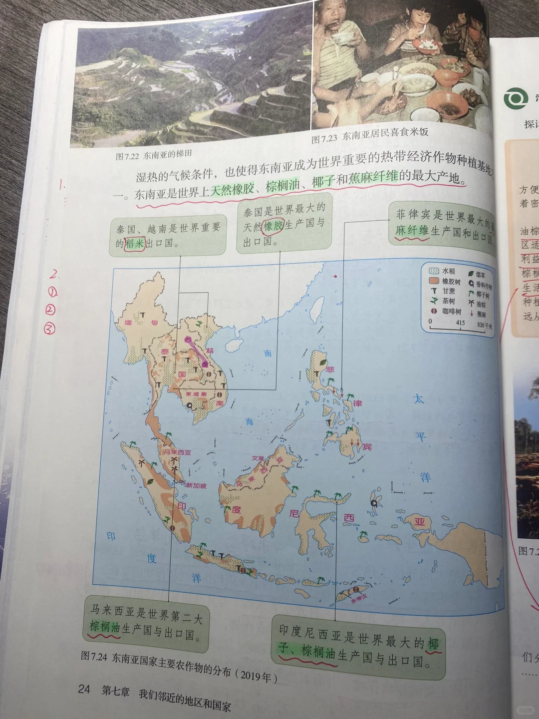 这也太好记了！东南亚热带经济作物口诀！