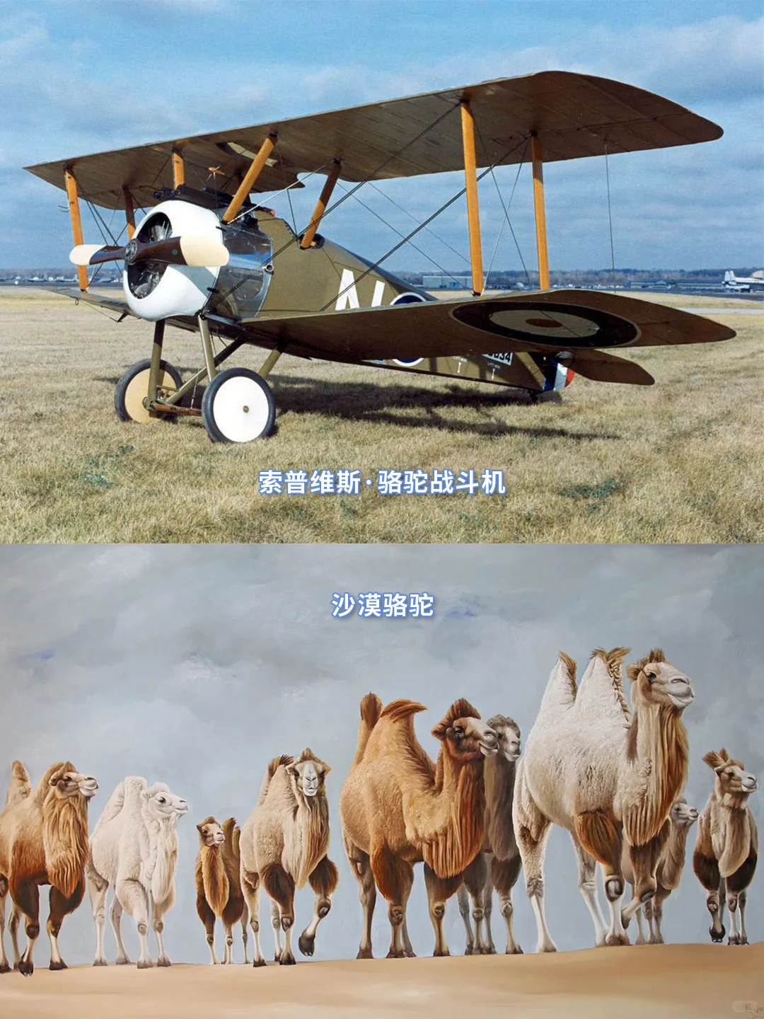 终于知道飞机为什么这样命名了?