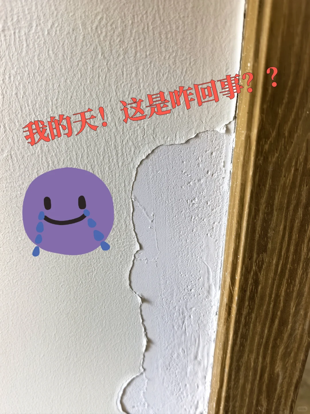 疯了！刚刷完两周的乳胶漆整块掉