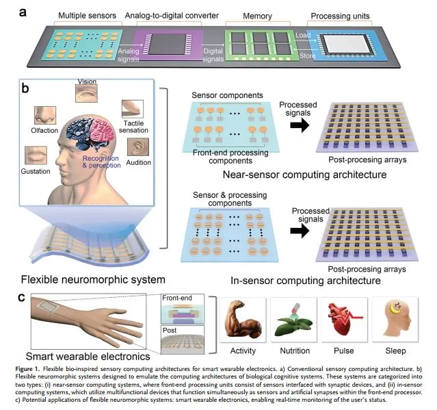 用于可穿戴近集成功能的柔性神经形态器件