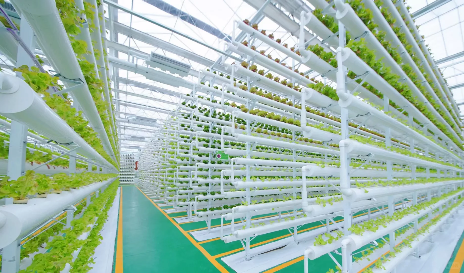 330元每平米,南京玻璃温室大棚价格