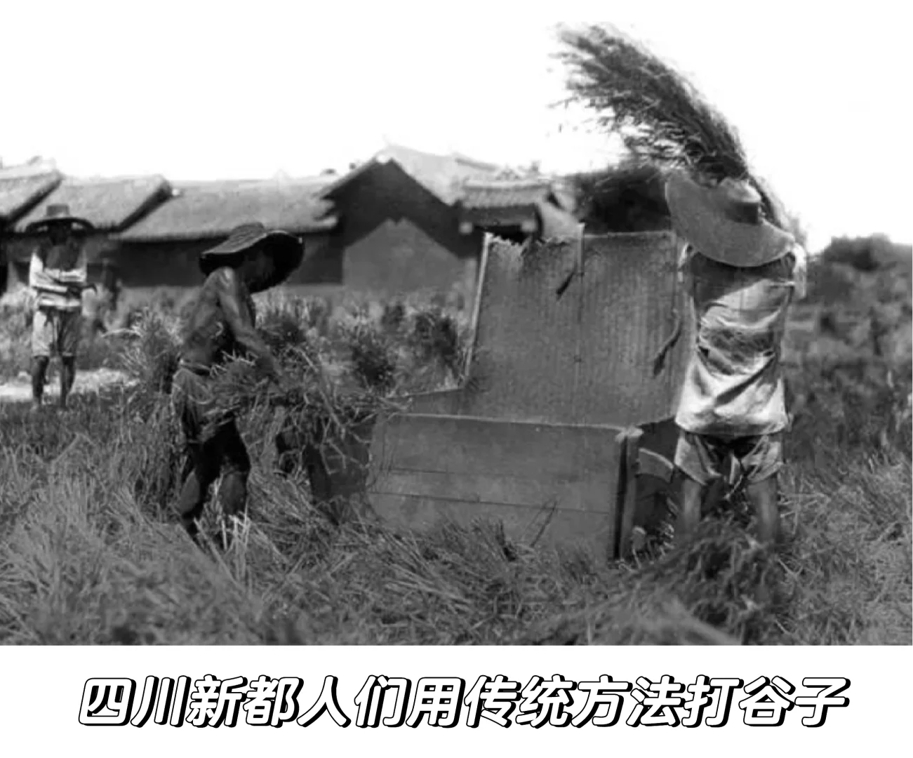 晚清至民国初年四川农村生活多元经济的交织